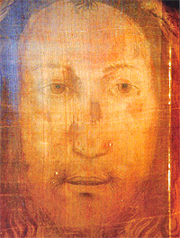 Veronica veil