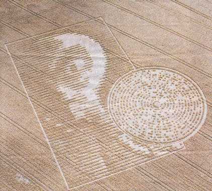 New Crop Circle in Hampshire