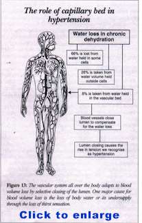 Is your body thirsty by Marijke Op ten Noort (Share International May 2002)