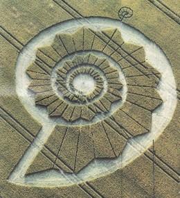 Magnificent Crop Circle in Wiltshire