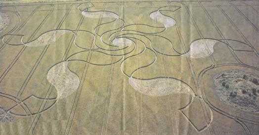 New Magnificent Crop Circle in Stonehenge