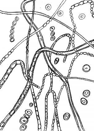 Artist impression of Etheric planes