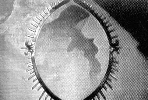 Photograph of the Image of Madonna